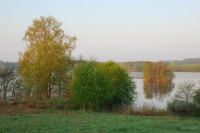  29        